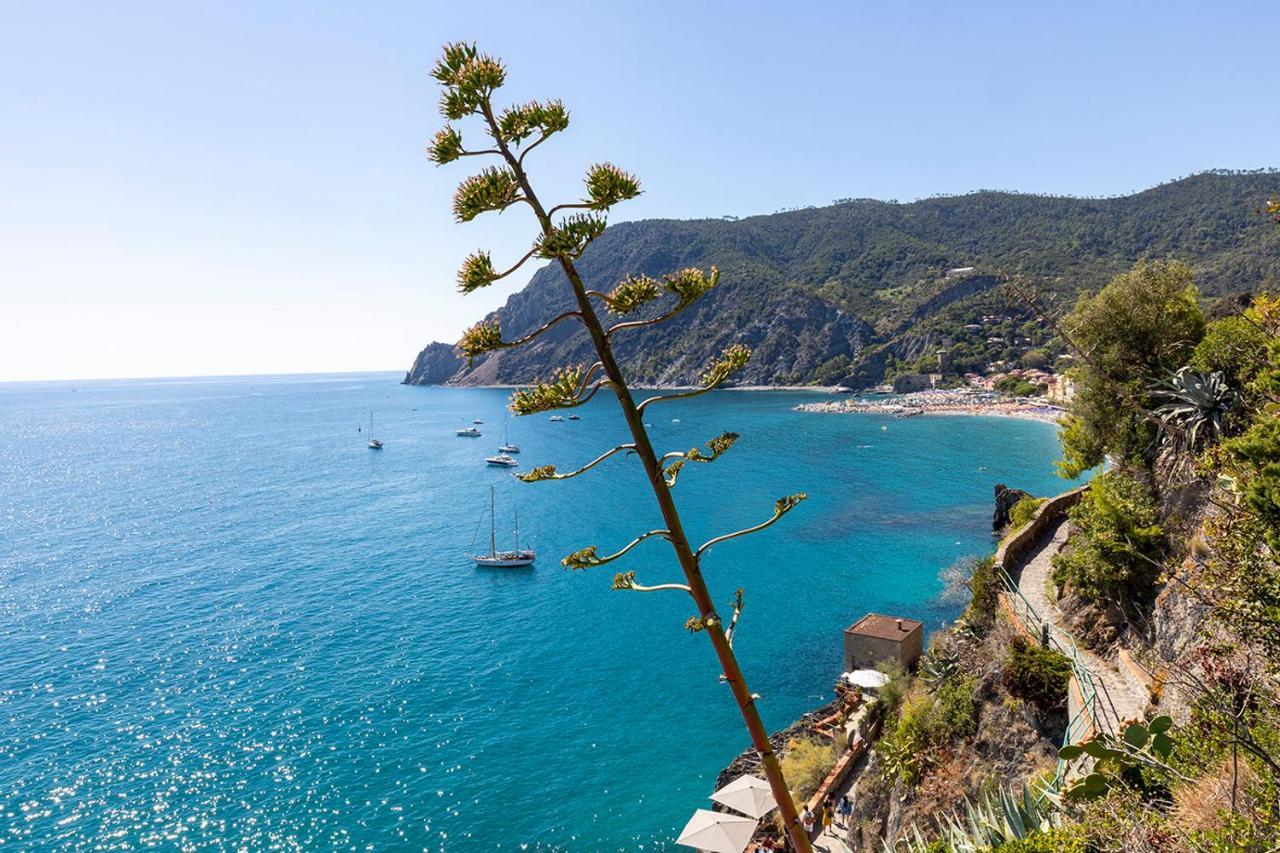 Antica Ancora Rooms Monterosso al Mare Buitenkant foto